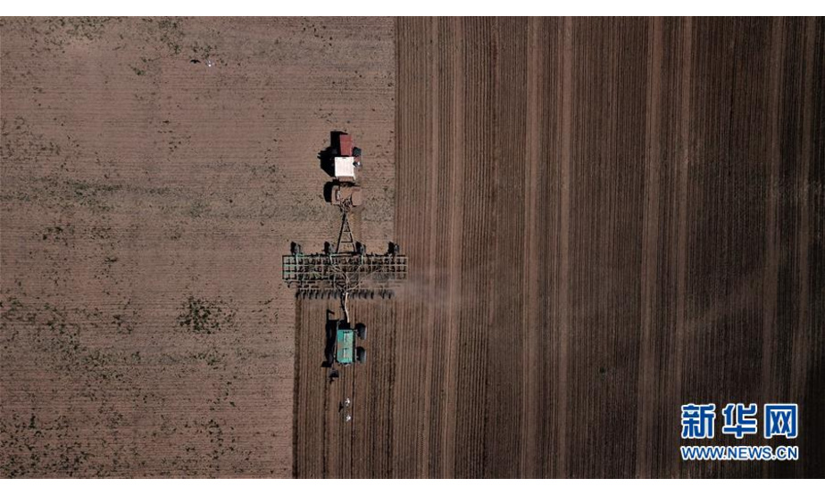 在哈萨克斯坦阿克莫拉州阿克莫尔村，农民进行小麦春播作业（2020年5月30日无人机拍摄）。 新华社发（奥斯潘诺夫摄）