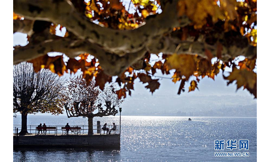 这是11月12日在瑞士苏黎世湖畔拍摄的深秋景色。 苏黎世位于瑞士中北部，是瑞士最大城市。 新华社发（米歇尔·立米纳摄）