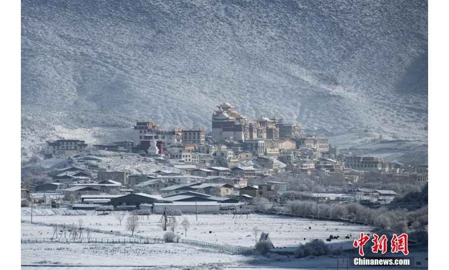 11月23日，雪后的云南省迪庆藏族自治州香格里拉银装素裹，景色壮美。图为松赞林寺雪景。 中新社记者 刘冉阳 摄
