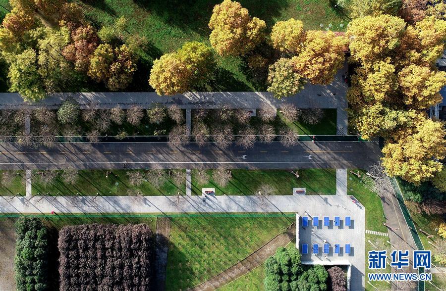 11月13日无人机拍摄的西安大明宫国家遗址公园。 进入冬季，陕西西安大明宫国家遗址公园内的植物随着气温变化展现出不同颜色，从空中俯瞰色彩斑斓。 新华社记者 张博文 摄