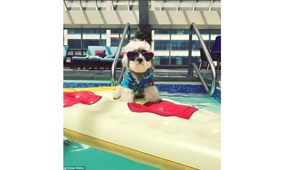 巴斯特戴着太阳镜在酒店游泳池享受悠闲午后。（编译 郭昕璇 审稿 徐祥丽）