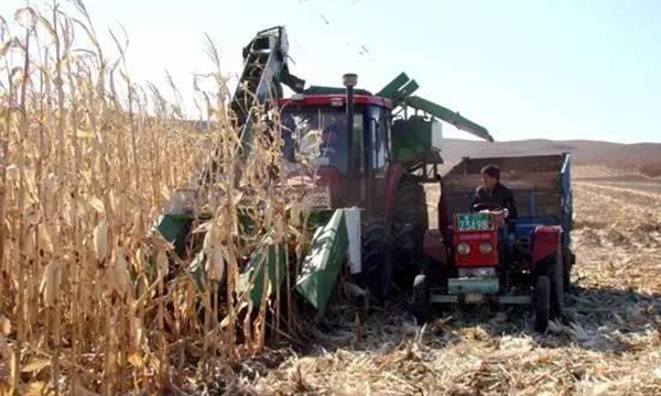 秸秆深埋黑土地化作“春泥”助增收