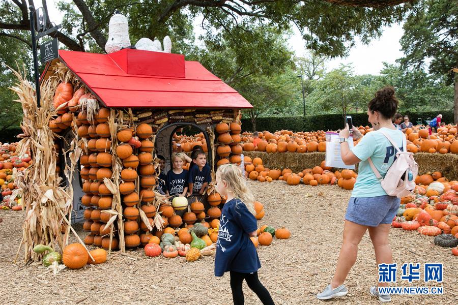 10月10日，在美国得克萨斯州达拉斯植物园的“南瓜小镇”，一名女子为孩子们拍照。 美国得克萨斯州达拉斯市植物园每年秋天都要搭建一座“南瓜小镇”，今年的“南瓜小镇”以美国著名漫画人物查理·布朗和他的小伙伴们为主题。 新华社发（田丹摄）
