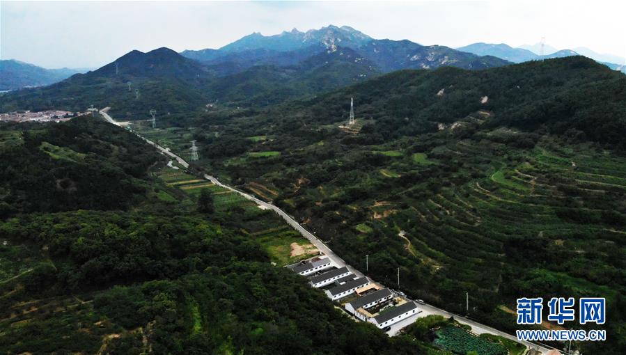 这是群山环抱中的日照市五莲县松柏镇窦家台子村民宿区（9月3日无人机拍摄）。

　　近年来，山东省日照市五莲县把发展乡村民宿产业作为乡村振兴的重点。目前，全县已发展北山乡居、方外·青舍里、东坡·荷塘居等精品民宿23家，大旺、香集居、太阳城庄园等20余家民宿正在加快建设。截至2019年7月底，五莲县乡村旅游接待游客300余万人次，实现收入2.2亿元，分别同比增长20%以上，逐渐成为当地乡村振兴的“大产业”。

　　新华社记者王凯摄