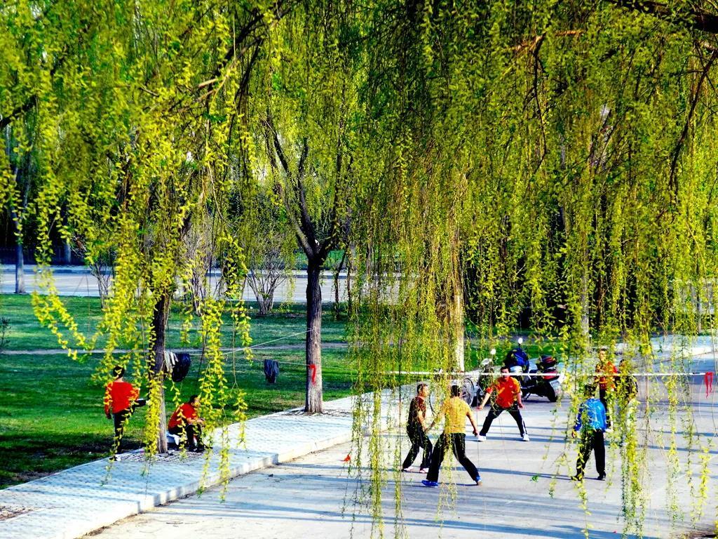 晨练。宋玉坤摄