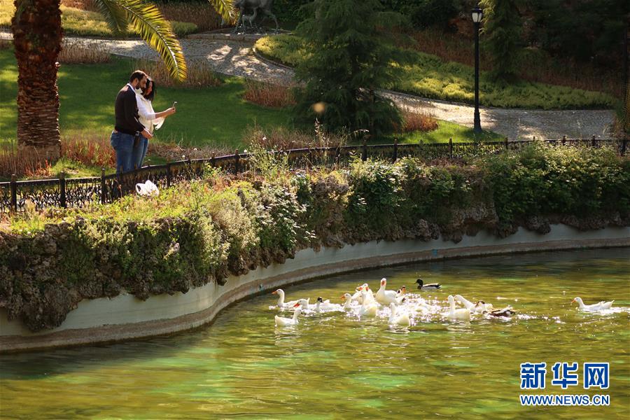 6月1日，人们在土耳其伊斯坦布尔的一个公园内游览。 土耳其从6月1日起允许餐馆、咖啡馆、公园、海滩和健身房重新开放，日托中心、幼儿园、图书馆和博物馆也从同日开始恢复运营。 新华社记者 徐速绘 摄