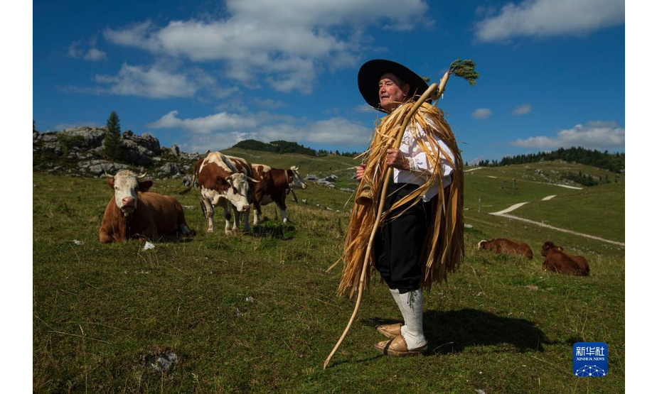 9月8日，斯洛文尼亚维利卡普拉尼那高地的老牧民彼得身着传统服饰在牧场上远眺。

　　位于斯洛文尼亚北部的维利卡普拉尼那高地是欧洲现存最大的牧民定居点，早在中世纪已有牧民定居。每到夏季，该地独特的高原牧场风景和传统的牧民生活习俗吸引大批徒步旅行爱好者到此观光。

　　新华社发（泽利科·斯特凡尼奇摄）