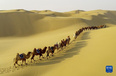 11月29日，一支驼队在库布其沙漠行进（无人机照片）。<br/><br/>　　冬日，位于内蒙古自治区鄂尔多斯市的库布其沙漠壮美而静谧，驼队行走其中，构成一幅沙海画卷。<br/><br/>　　新华社发（王正 摄）