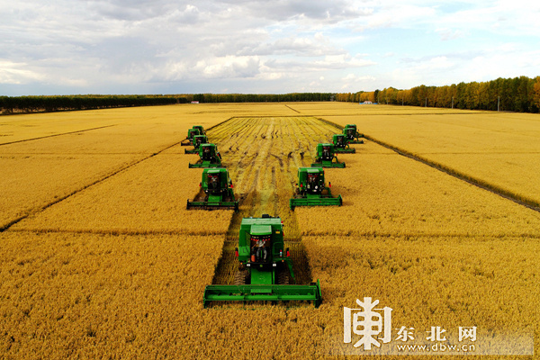 了不起的北大荒组图