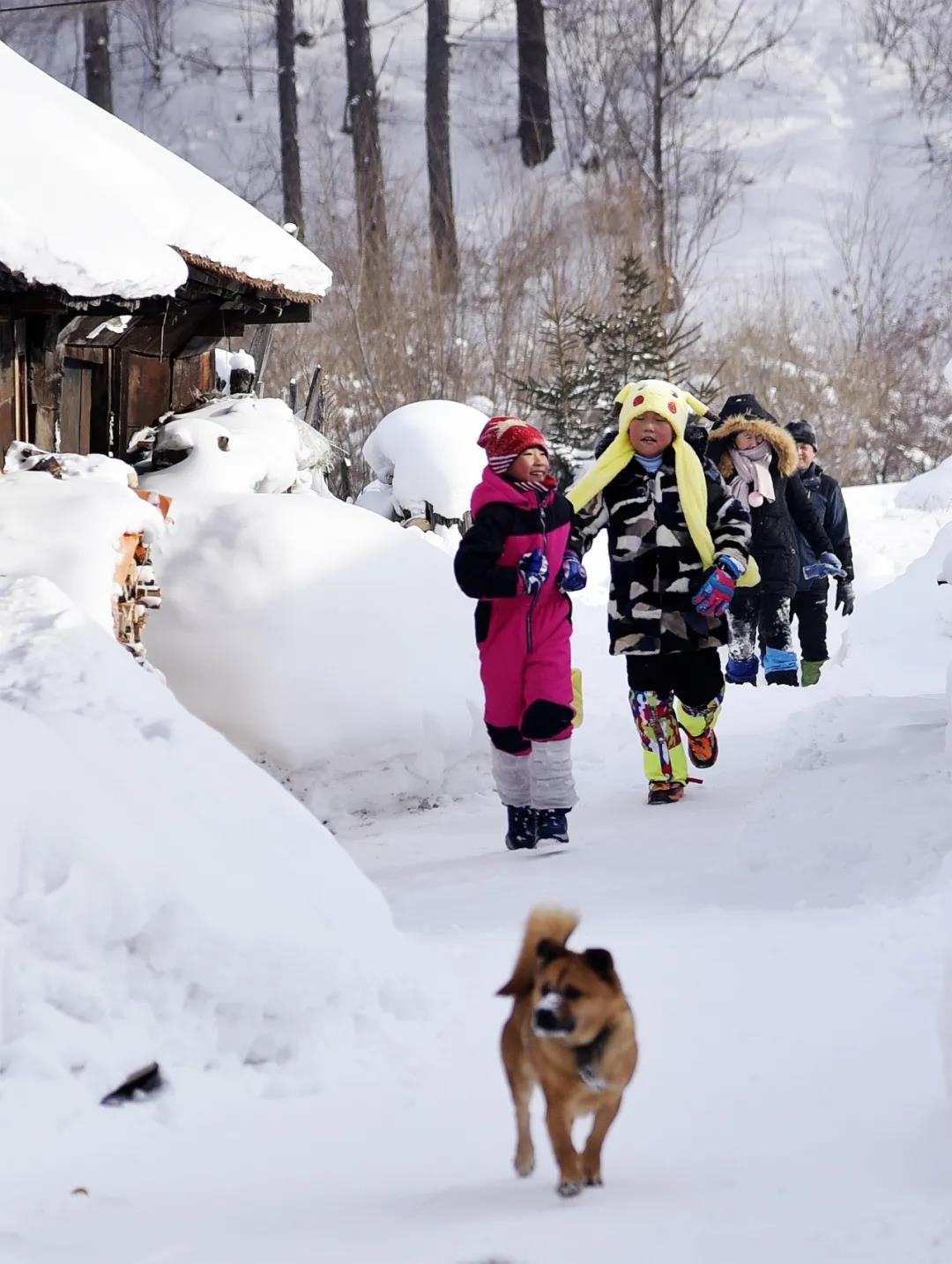 畅游雪世界。王洪平摄