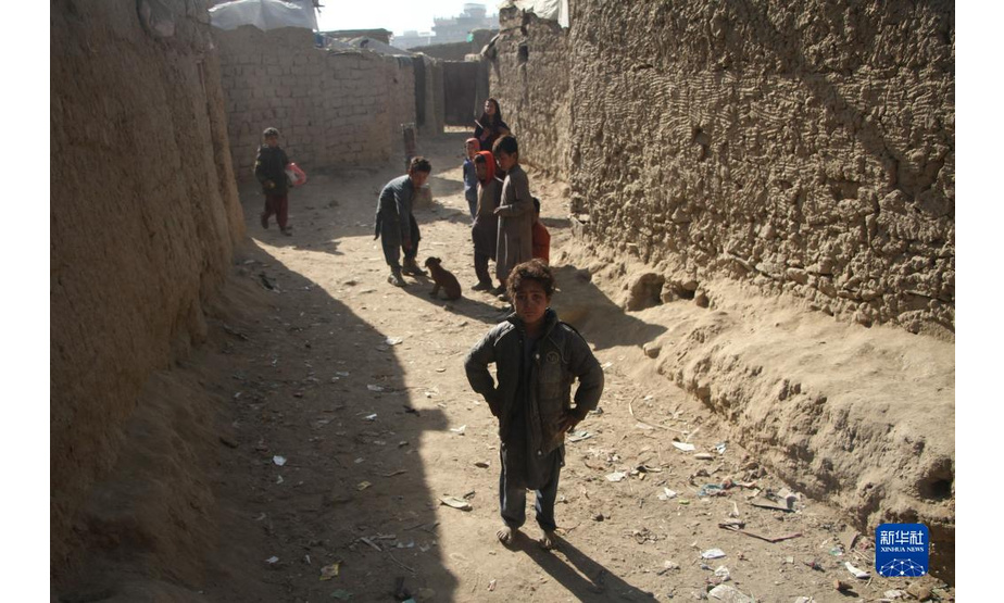 11月20日，阿富汗首都喀布尔一处流离失所者营地的孩子们在玩耍。新华社发（塞夫拉赫曼·萨菲摄）这是11月20日拍摄的生活在阿富汗首都喀布尔一处流离失所者营地的儿童。新华社发（塞夫拉赫曼·萨菲摄）