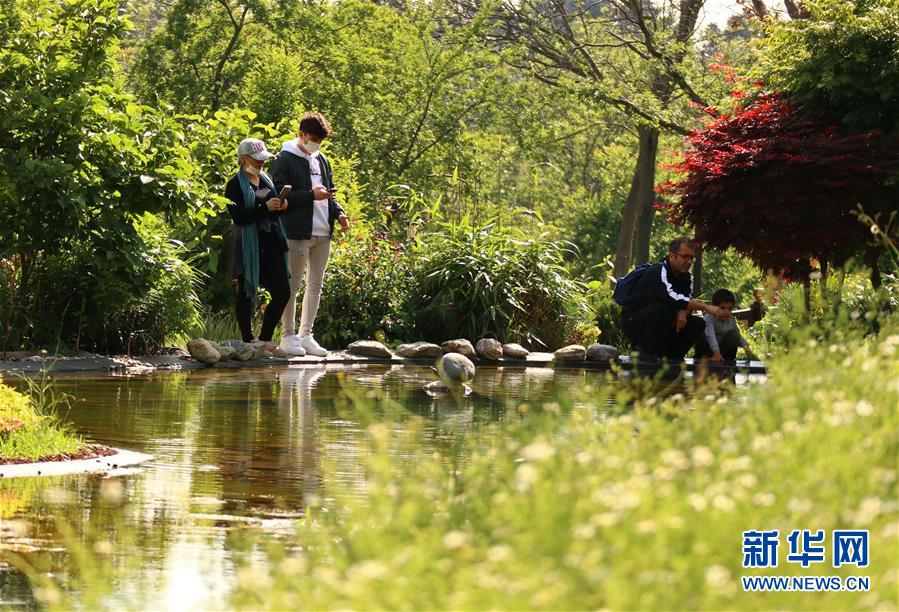 6月1日，人们在土耳其伊斯坦布尔的一个公园内游览。 土耳其从6月1日起允许餐馆、咖啡馆、公园、海滩和健身房重新开放，日托中心、幼儿园、图书馆和博物馆也从同日开始恢复运营。 新华社记者 徐速绘 摄