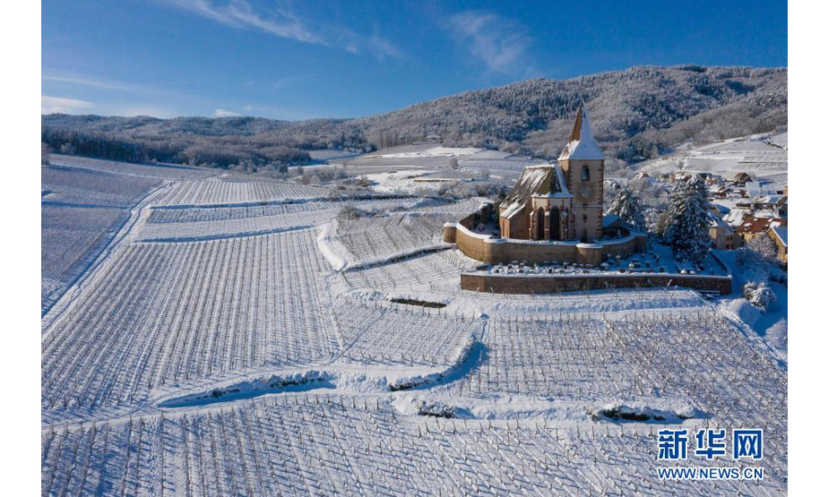 这是1月15日在法国上莱茵省于纳维尔拍摄的雪后的葡萄园和教堂。

　　法国东北部地区近日连降大雪。新华社发（亚基·内热朗摄）