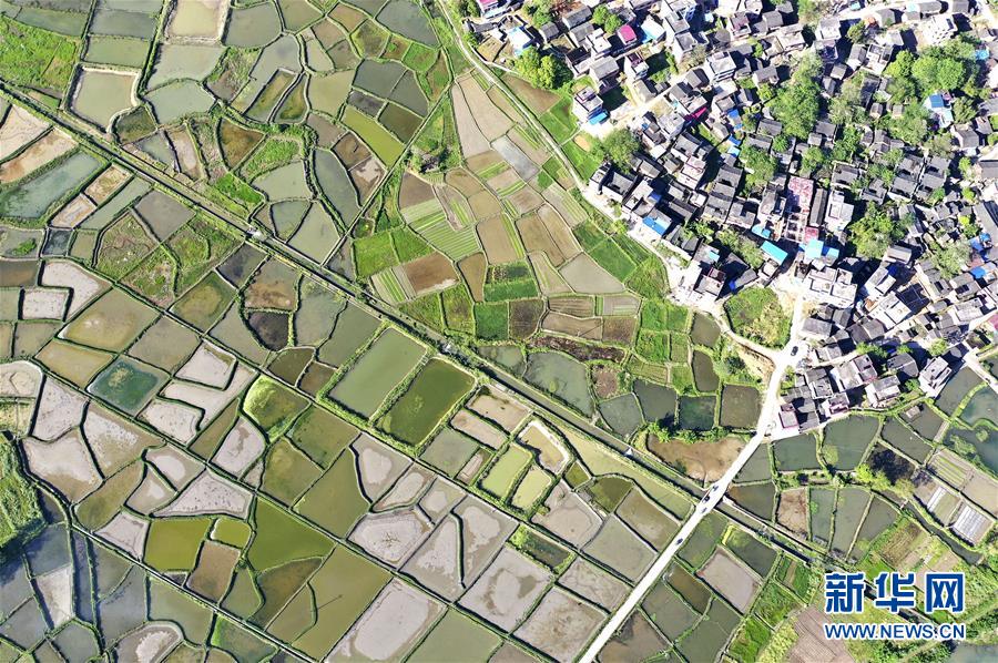 4月16日无人机拍摄的湖南省永州市道县濂溪河畔的田园春景。 谷雨将至，雨水充沛，田间树林处处绿意盎然，生机勃勃。 新华社发（何红福 摄）