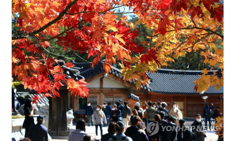 25日，前来观赏枫叶的游客纷至沓来，雪岳山新兴寺周围人山人海。