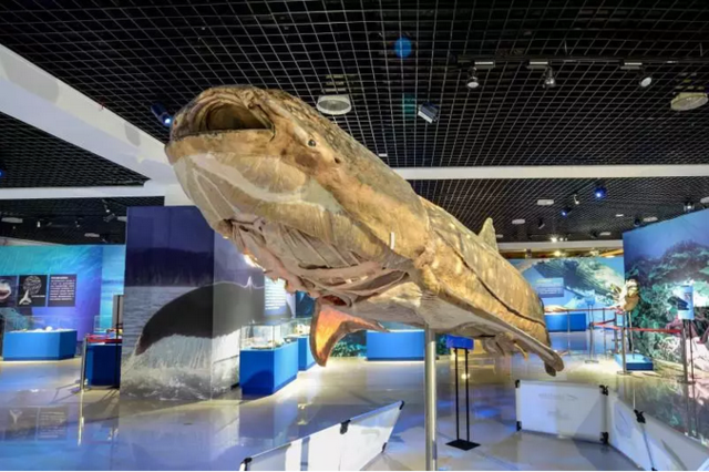 忆科技流年韶华·望科普辉煌与共 --记黑龙江省