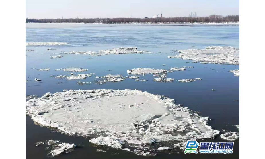 随着气温大幅下降，松花江封江在即。11月20日，哈尔滨市区内的松花江面上大块的冰排顺流而下，吸引了许多市民前来观看美景。（记者 白林鹤）