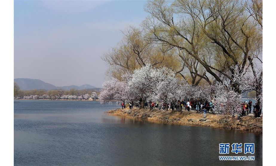 3月17日，游客在北京颐和园游览。 春日里的颐和园风光旖旎，游人如织。 新华社记者 张传奇 摄