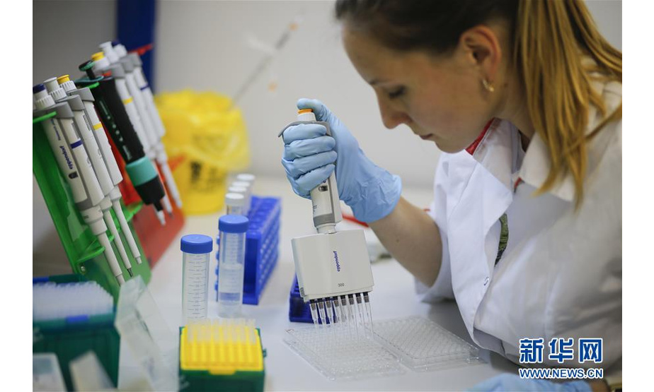 8月6日，在位于俄罗斯首都莫斯科的“加马列亚”流行病与微生物学国家研究中心，研究人员在实验室内工作。 新华社发（俄罗斯直接投资基金供图）