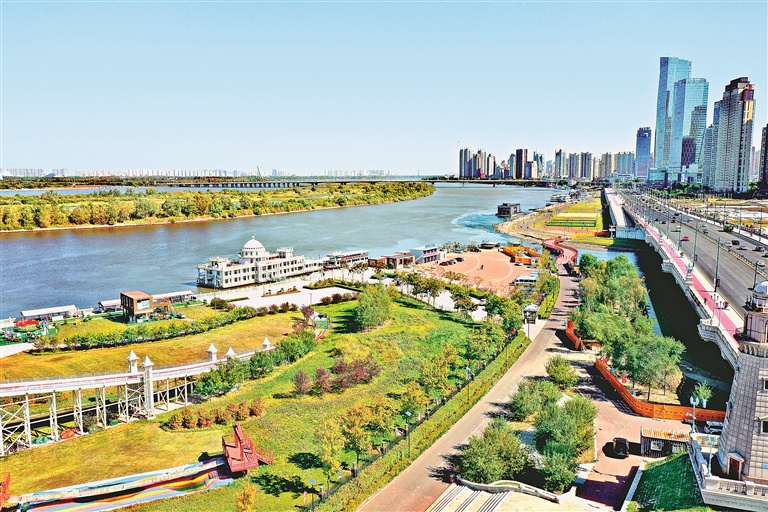 从道外区的松浦大桥至道里区的阳明滩大桥,江畔湿地和江心岛上的植被