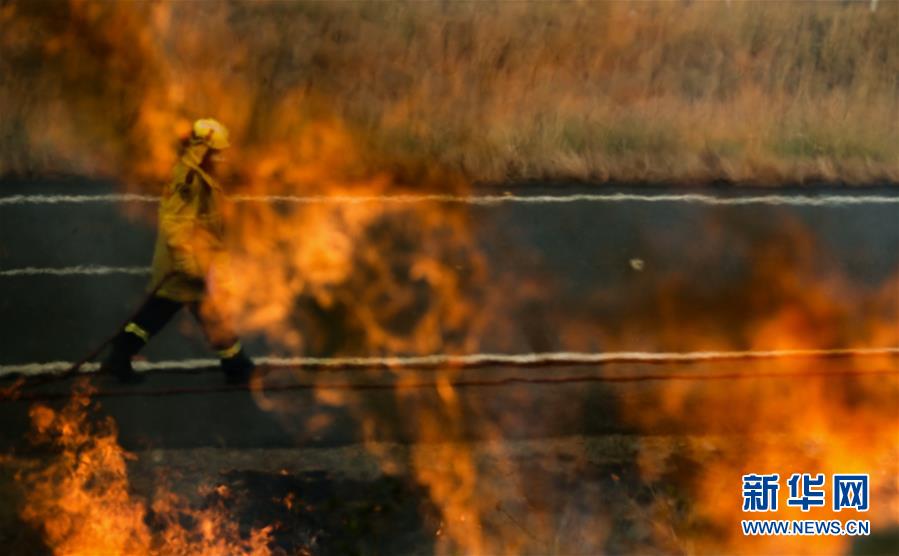 11月11日，在澳大利亚新南威尔士州塔里附近的山地，消防员参与灭火。新华社记者 白雪飞 摄