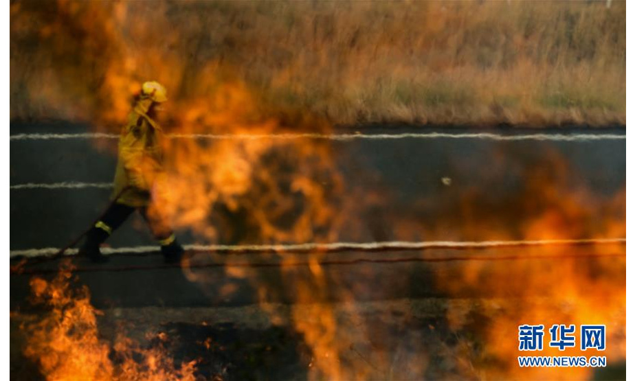 11月11日，在澳大利亚新南威尔士州塔里附近的山地，消防员参与灭火。新华社记者 白雪飞 摄