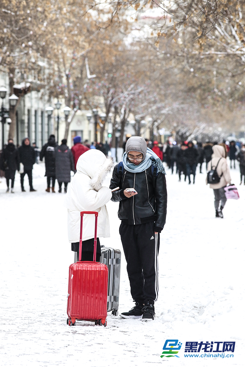 图集 雪中冰城景美人更美 黑龙江网