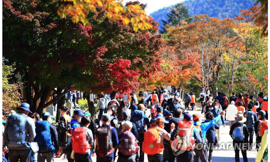 25日，雪岳山的小公园里挤满了前来观赏枫叶的游客。
