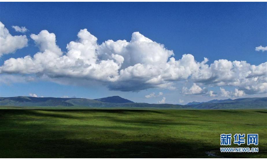 这是7月30日拍摄的金银滩草原（无人机照片）。 盛夏时节，位于青海省海北藏族自治州海晏县境内的金银滩草原青山滴翠，碧野千里，宛如一幅壮美画卷。 新华社记者 张宏祥 摄