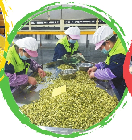 大农业提档升级双链齐舞