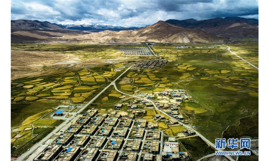 这是西藏日喀则市萨迦县农田风光（9月12日无人机拍摄）。 西藏日喀则各地秋季美景如画，令人陶醉。 新华社发（旦增尼玛曲珠 摄）