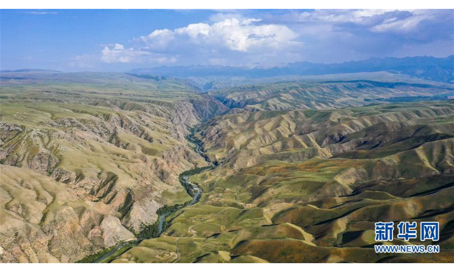 这是8月13日拍摄的喀拉峻草原一景（无人机拍摄）。 喀拉峻草原位于新疆伊犁河谷的特克斯县境内，山峦连绵起伏，线条柔美，层次分明，犹如一幅大气磅礴的天然画卷。 新华社记者 胡虎虎 摄