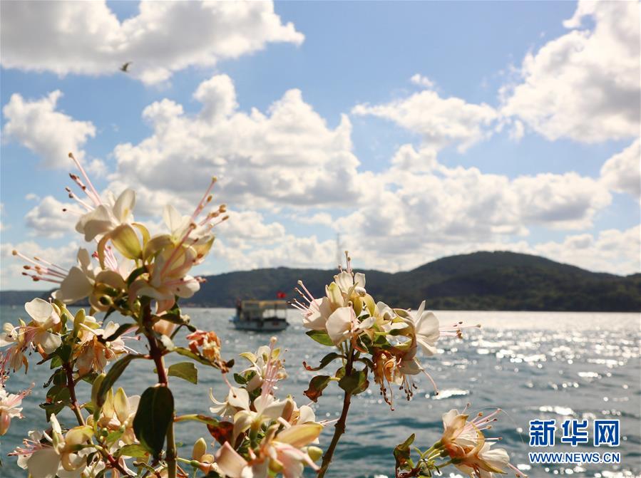 这是8月3日在土耳其伊斯坦布尔拍摄的海滨美景。 土耳其伊斯坦布尔的海滨碧水云天，景色宜人。 新华社记者 徐速绘 摄