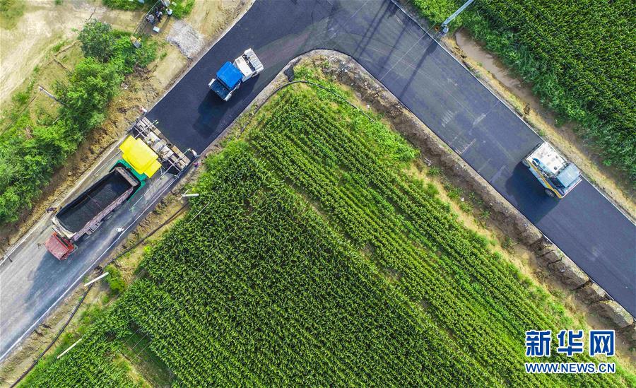 8月15日，运输车辆在枣强县恩察镇北大屯村附近的乡村公路上行驶（无人机拍摄）。 近年来，河北省枣强县大力实施城乡道路畅通工程，按照“建好、管好、护好、运营好”要求，积极推进农村公路建设和维护。目前，枣强县公路总里程达1758公里，公路密度达到每百平方公里212公里，给当地老百姓生活带来便利，并带动农产品外销，加快了乡村振兴步伐。 新华社记者 李晓果 摄