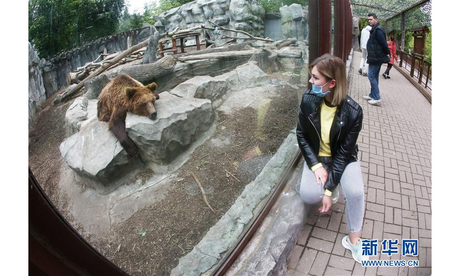 5月23日，在乌克兰基辅，一名游客在动物园观看棕熊。

　　基辅动物园5月23日开始恢复对外开放，所有出入人员均要佩戴口罩，并接受体温检测，同时园区对入园人流量采取限制。

　　新华社发（谢尔盖·斯塔拉斯坚科摄）