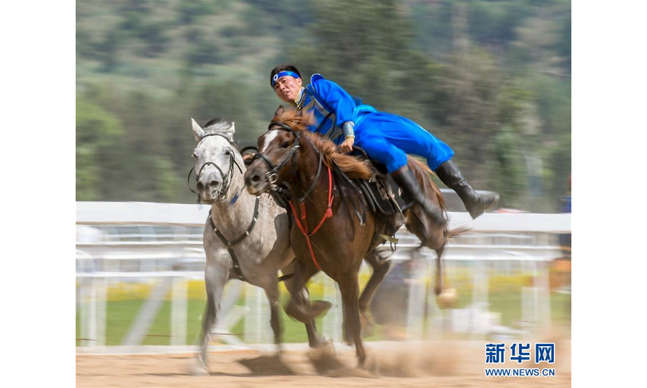 7月15日，内蒙古队骑手表演马上技巧。 当日，在内蒙古呼和浩特市举办的第十一届全国少数民族传统体育运动会马上项目进入第四个比赛日。 新华社记者彭源摄