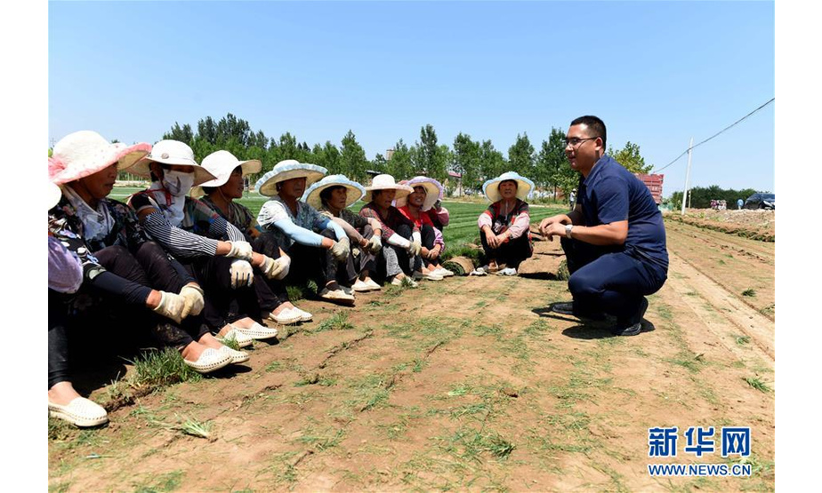 8月21日，在河北任县西固城乡小东吴村，王壮（右一）和农场工人在农忙间隙聊天。 新华社记者 朱旭东 摄
