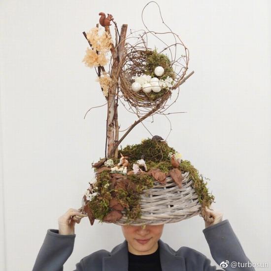 轻松解锁明星的插花技巧 你只需要学会这1招!