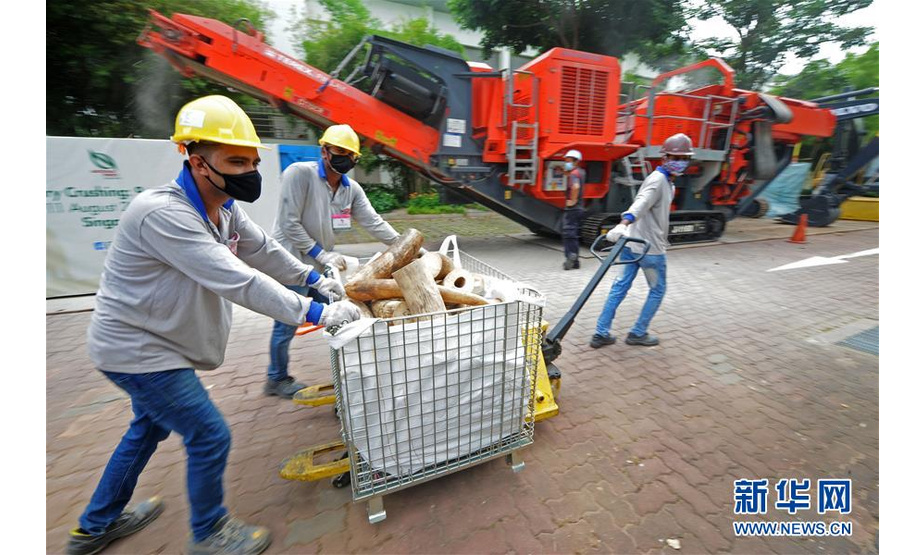 8月11日，在新加坡举行的象牙销毁活动现场，工作人员运送待销毁的象牙。 当日，新加坡销毁近9吨走私象牙。 新华社发（邓智炜摄）