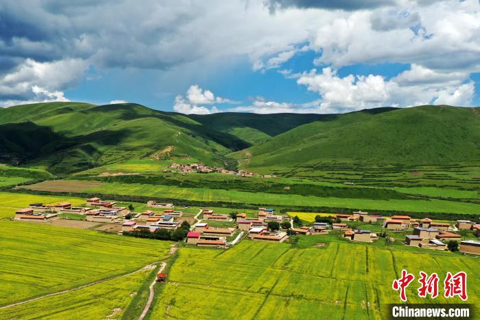 油菜花海里的民居。　安源 摄