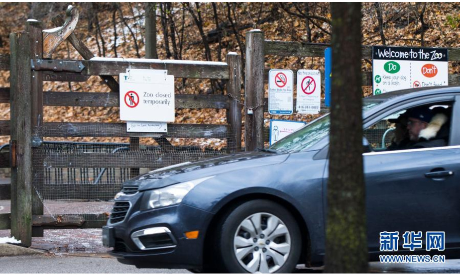 11月23日，在加拿大多伦多，一辆轿车从一家关闭的动物园大门前驶过。

　　当日，加拿大新增新冠确诊病例5119例，多伦多等地因疫情上升再度“封城”。

　　新华社发（邹峥摄）