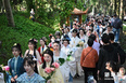 这是3月14日在第二届福州西湖花朝节上拍摄的簪花游园活动。新华社记者姜克红摄