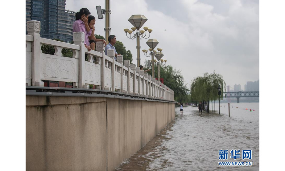 7月6日，市民在武昌江滩远眺。  新华社记者 肖艺九 摄