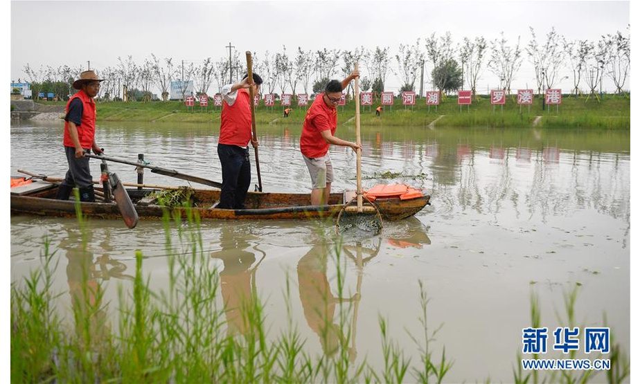 7月16日，在吴兴高新区罗溇港，河道保洁员和东桥村志愿者开展水面保洁工作。新华社记者 黄宗治 摄