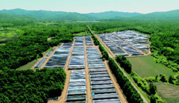 创新理念推动农业供给侧结构性改革 奋发有为助力伊春绿色化转型发展