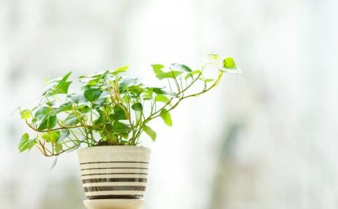 高温会使年轻人认知迟缓 推荐降温降暑的几个