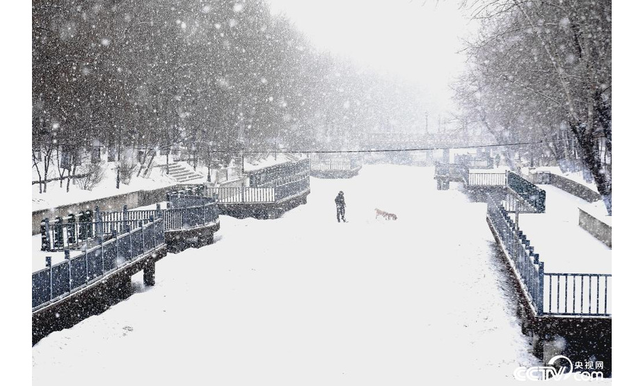 央视网消息：3月4日，黑龙江哈尔滨，市民在雪中出行。当日，哈尔滨迎来降雪天气。（吴胡荼 摄）