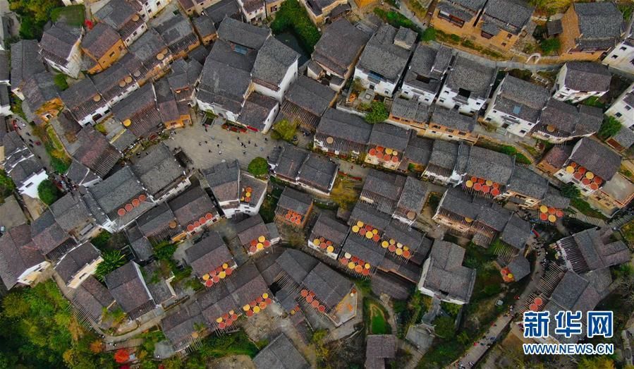 婺源县江湾镇篁岭村美景（11月7日无人机拍摄）。 　　江西省婺源县的枫叶、晨雾、梯田等景色犹如一幅画卷，在世人面前尽显和谐生态之美。新华社记者 胡晨欢 摄