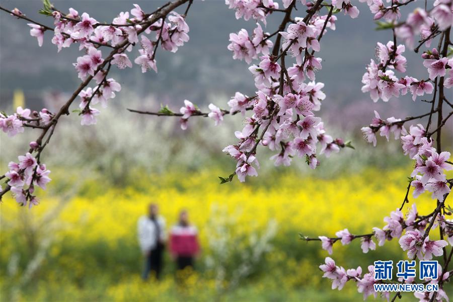 3月15日，游人在贵州省毕节市黔西县大关镇丘林村踏青赏花。 随着气温回升，各地春花绽放，春意盎然。