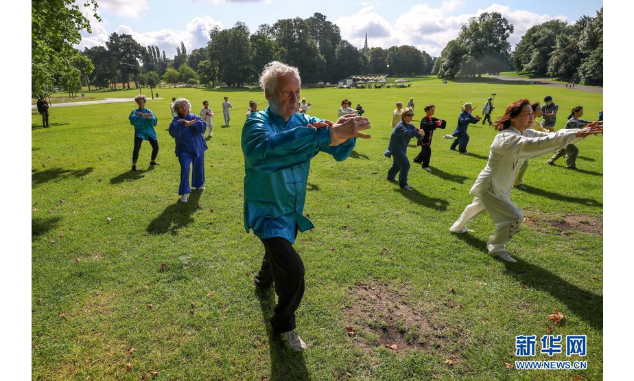 7月28日，人们在比利时布鲁塞尔的拉肯公园练习太极。

　　当日，数十位比利时各地的太极爱好者齐聚布鲁塞尔，进行太极拳、太极剑、太极扇等表演，交流切磋技艺。

　　新华社记者 张铖 摄